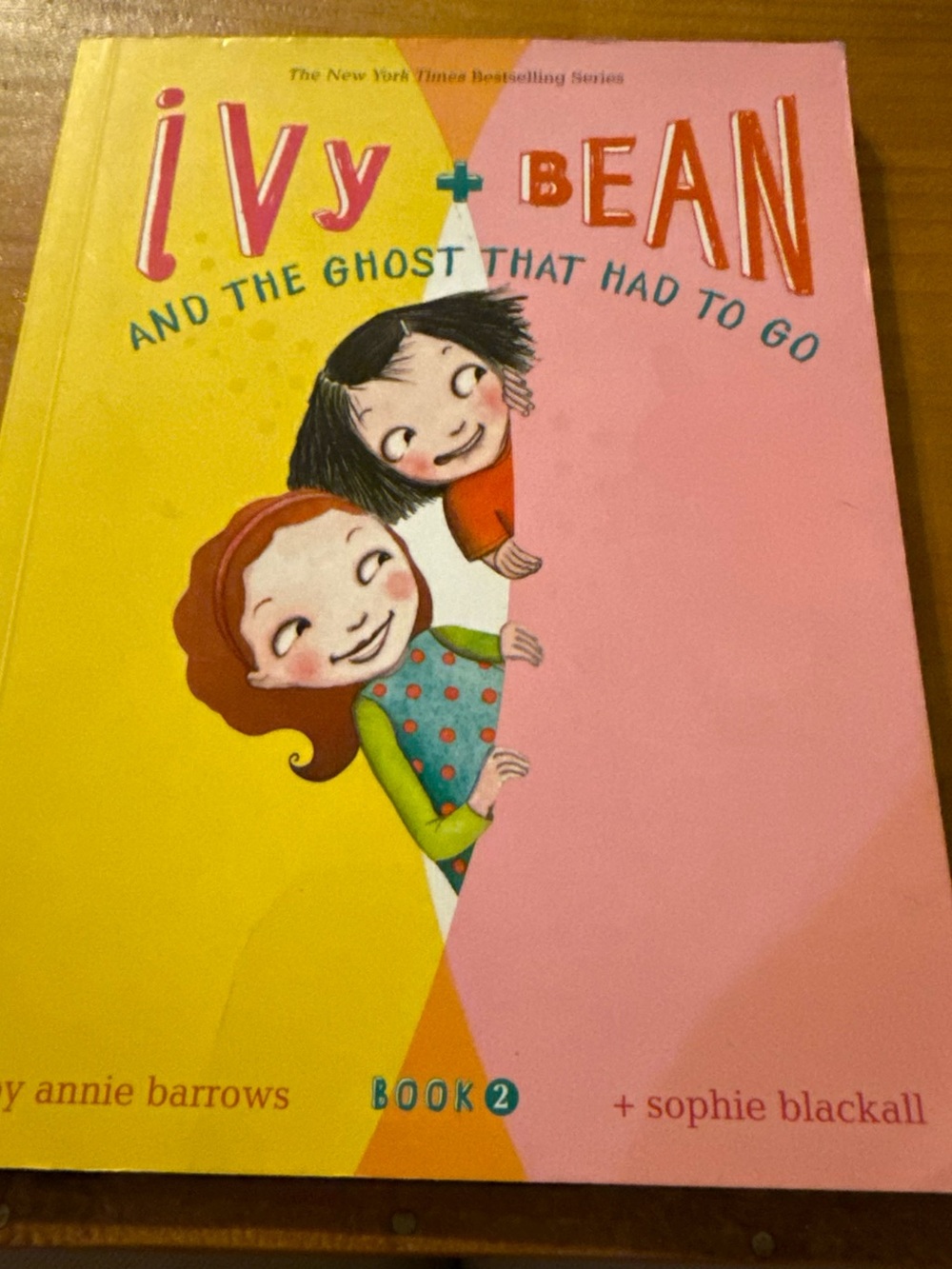 Ivy + Bean and the Ghost That Had to Go Book 2 Children’s Book